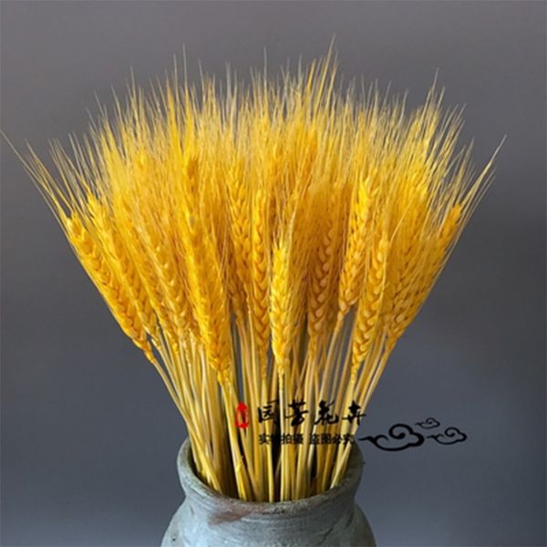 

new 100 pcs natural yellow dried flowers artificial flowers wheat bouquet dried branches wedding decoration flower wreath