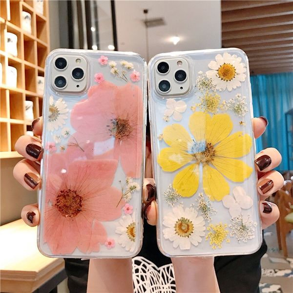 

immortal flower big daisy real flower dried flower suitable for iphone 11 pro max / xr / 7 / 8plus mobile phone case transparent protective