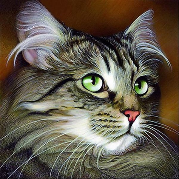 

full square/round drill 5d diy diamond painting "cat" embroidery cross stitch mosaic home decor art experience toys gift a0747