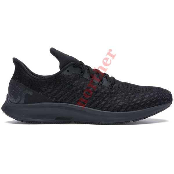 pegasus triple black