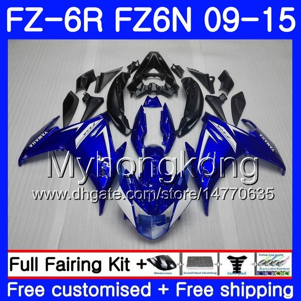 Тело для YAMAHA FZ6N FZ6 R FZ 6N FZ6R 09 10 11 12 13 14 15 239HM.0 FZ-6R FZ 6R 2009 2010 2011 2011 2011 2013 2014 2015 Фекторы Фабрика Blue Blk