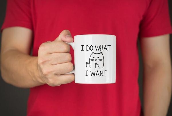 

i do what i want cat mug creative interesting gift with box coffee water mug 11 oz