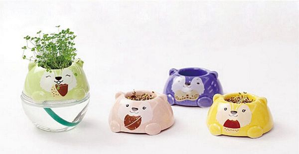 

diy mini cute bear grass potted plant deskoffice decorcute and mini modelling, is the most suitable on the desk and computer desk