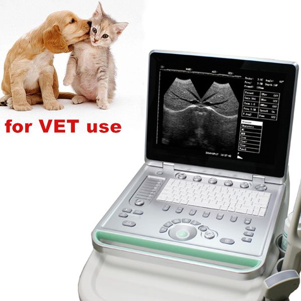 

УЗИ-сканер для животных / ноутбук для беспошлинной доставки DHL / дешевый ультразву