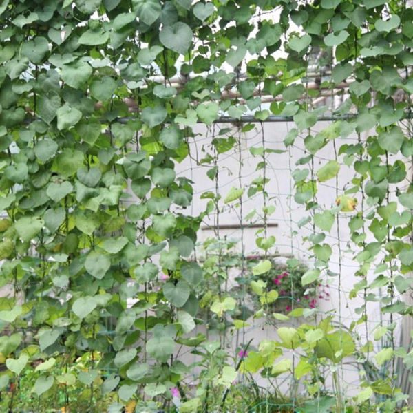 

1.8x0.9m garden durable nylon trellis net support for climbing vine plants