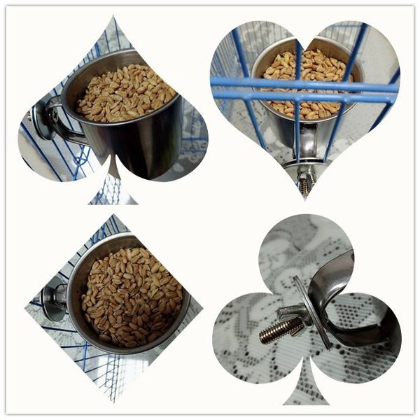 

parrot stainless steel parrot the gift box pitcher basin cup the food bowl food cup trough birds special-purpose