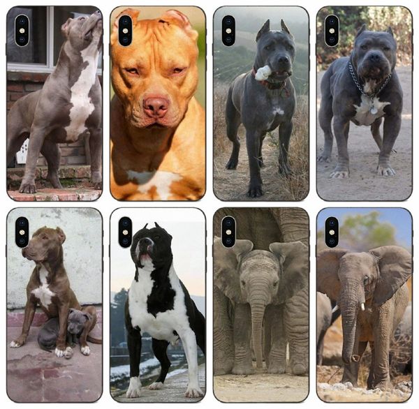 

[tongtrade] the blue big ear protection lovely case for iphone 11 pro max x xs xr 6s 5s 5c plus samsung a7 huawei gx8 redmi note 6 pro case