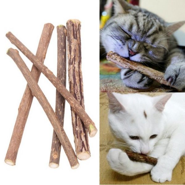 

natural chiscat catnip cats molar toothpaste cat snacks stick pet cat cleaning teeth cats snack sticks cat toys