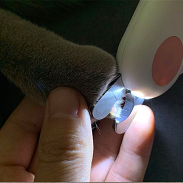 

pet cat dog nail clipper cutter trimmer with led light sickle stainless steel grooming scissors clippers pet claws dog supplies