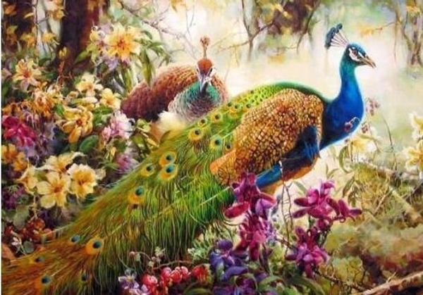 

peacock - paint by numbers kits for adults diy handpainted painting animals art picture canvas diy oil painting by numbers