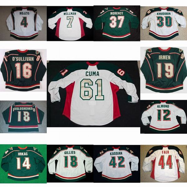 

Houston Aeros 43 Serge Payer 24 Chris Ovington 31 Schaefer 7 Casey Wellman 19 Danny Irmen 61 Tyler Cuma 30 Wayne Rutledge Hockey Jersey