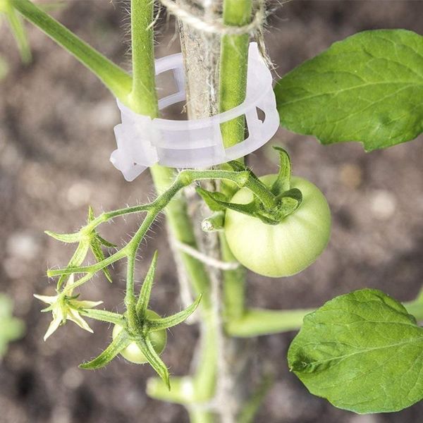 

150 pcs plant support garden clips,tomato vine clips,tomato trellis clips for vine vegetables tomato to grow upright and makes p other garde