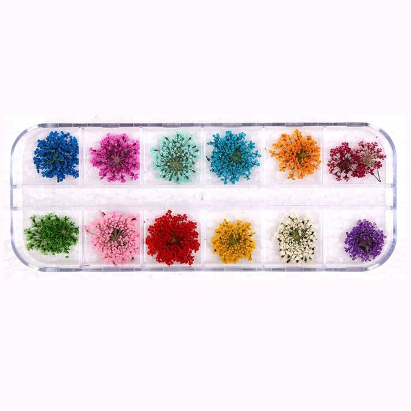 

new 12 colors 3d decoration real dry dried flower for gel nail art tips natural petal dried dry flower tips manicure tools, Silver;gold