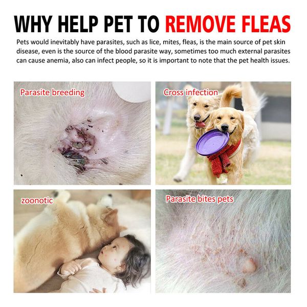 

pet dog collar anti flea ticks mosquitoes outdoor protective adjustable pet collar pet collars anti flea mosquito insect collar