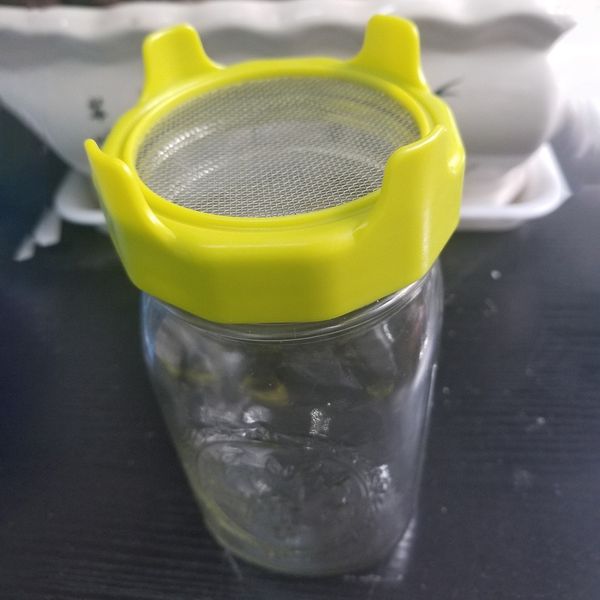 

filter mason can lid sprouting net cover bean sprouts filter other dinnerware