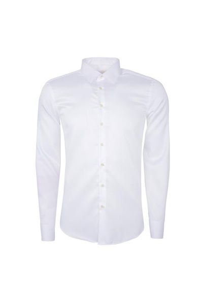 

perfetto male shirt 1890222, White;black