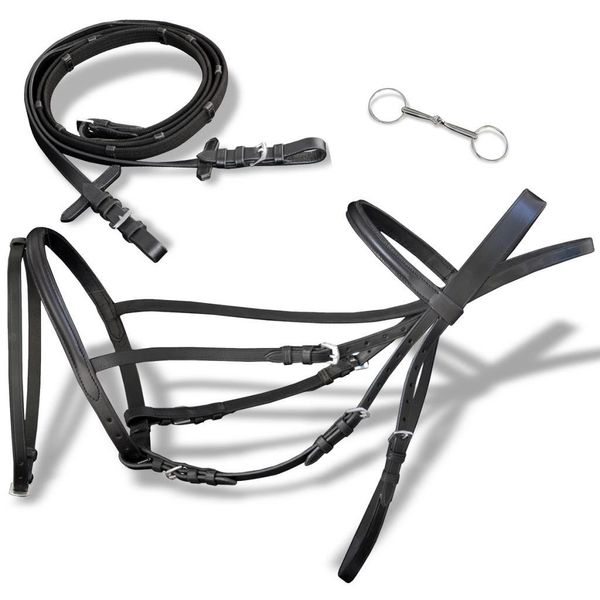 

leather flash bridle with reins and bit black full common tools