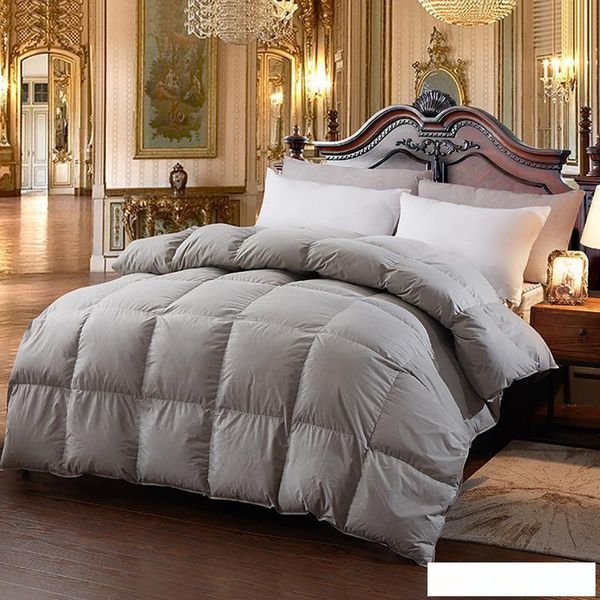 2019 New Hot Down Comforter For Winter Autumn Duvet Insert