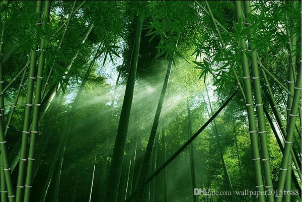 

custom any size bamboo 3d wallpaper mural