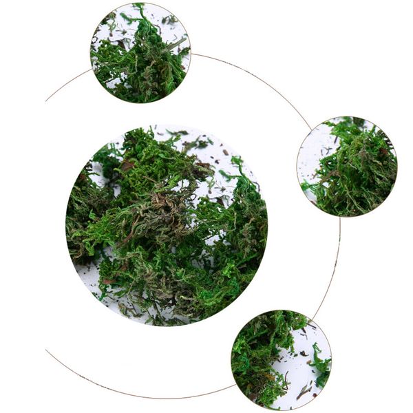 

dried artificial moss lining decor flower hanging baskets gardening crafts j99store