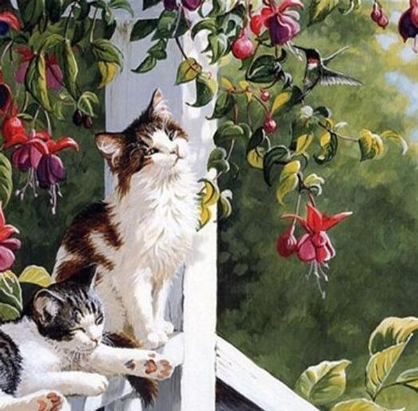 

cats in a sunbath - paint by numbers kits for adults diy canvas painting art animals art picture hand made paint diy picture