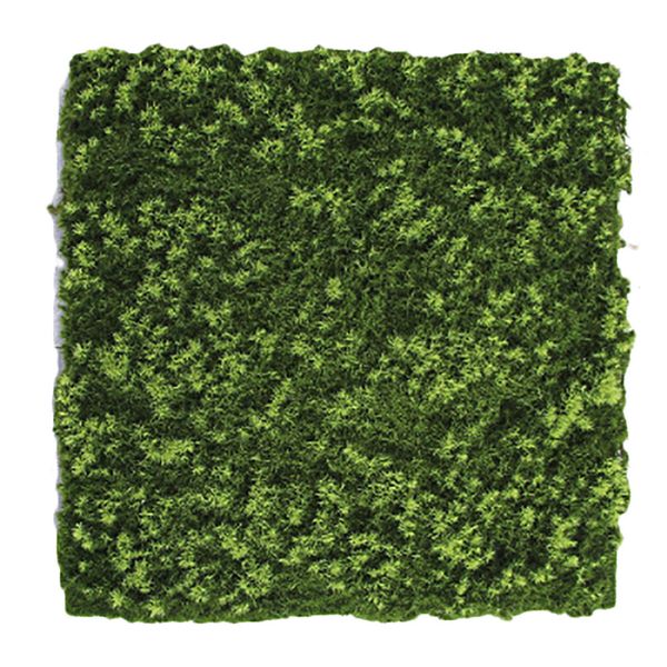 

40cm micro landscape hang wall artificial moss grass plant lawn home 2019