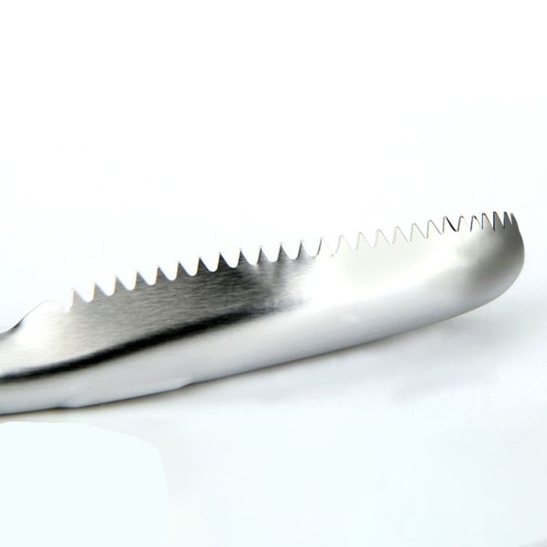 

1 pc portable fish scale planer tools household stainless steel scaler tool practical fish brush accessories