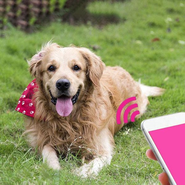 

pet bluetooth finder locator wireless anti-lost locator for key wallet item phone creative pet dog smart finder