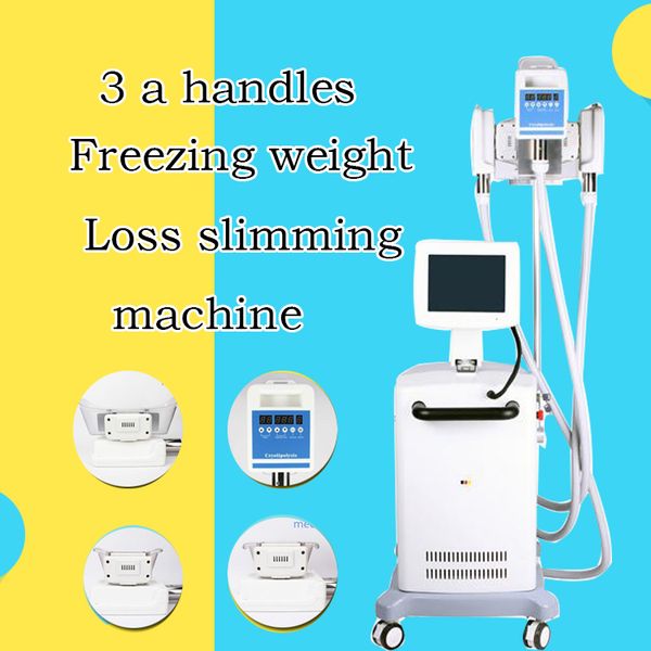 

new 3 handles laser vacuum cold cool cryo therapy fat e ing weight loss slimming machine
