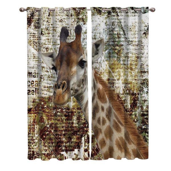 

a giraffe on an abstract background window living room kitchen outdoor indoor