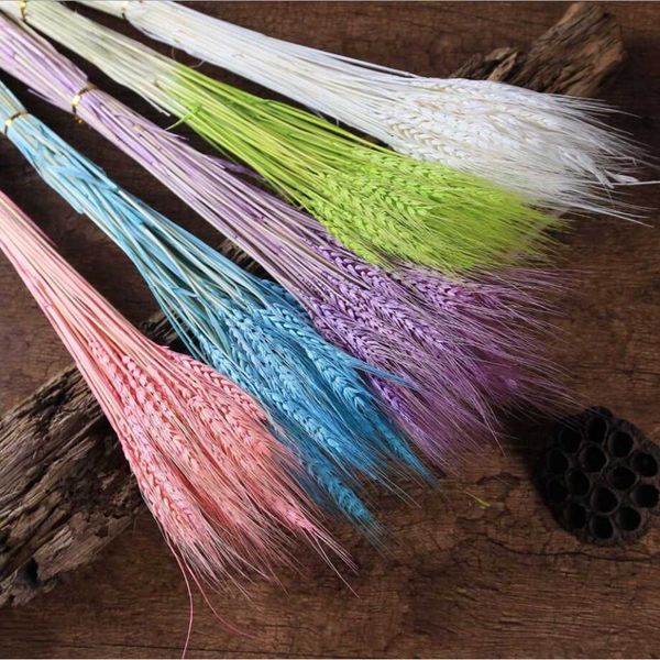 

50pcs wheat ears natural dried flowers wheat bedroom living room decoration bouquet decoration shooting props diy l floral