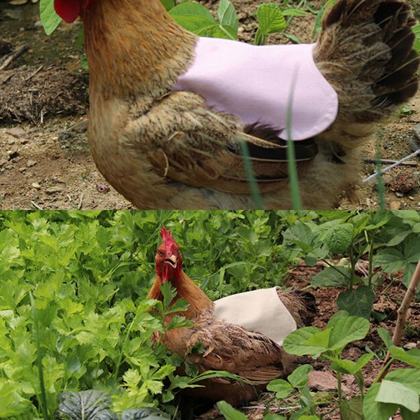 

1pc adjustable pet clothes hen apron poultry hen saddle apron feather protection holder chicken duck wings protector hen dress