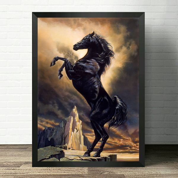 Black Horse Hd Image