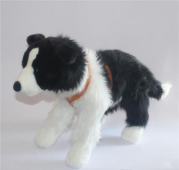 border collie peluche
