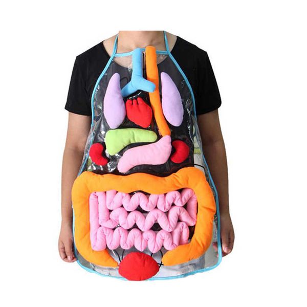 

anatomical apron educational insights toys for children anatomy human body organs awareness preschool science home school @25