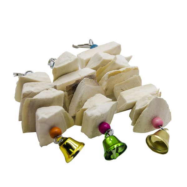 

will middle and small size parrot use calcium cuttlefish bone bite string toys parrot use calcium a molar tooth string cage necessary