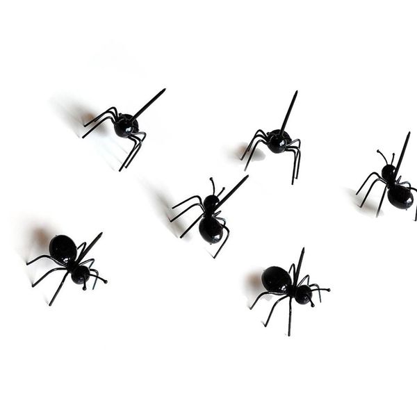 

сторона серии ant зубочистка практическая