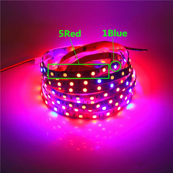 5050 LED planta crescer luzes 5M Waterproof DC12V Red Blue 3: 1 4: 1 5: 1 Full LED Spectrum Strip luz para a estufa