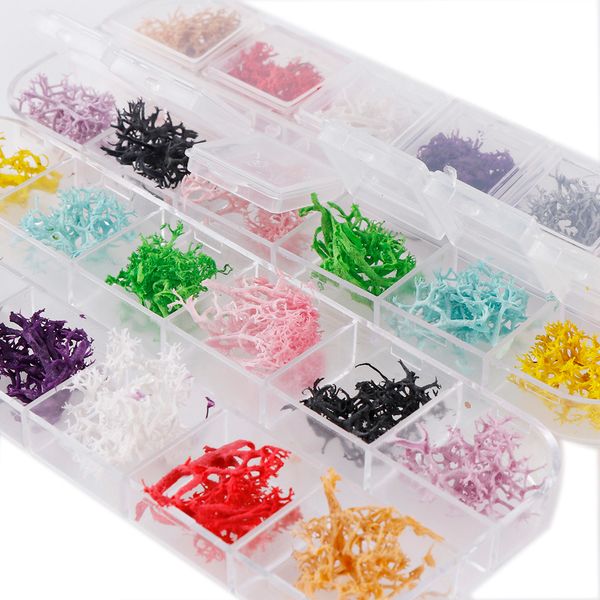 

12 colors/box coral seaweed dried flower dry plants for epoxy resin pendant nail jewelry making craft diy accessories, Silver;gold