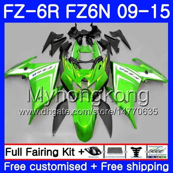 Karosserie für Yamaha FZ6N FZ-6R glänzend grün 2009 2010 2011 2012 2013 2014 20105 239HM.48 FZ 6R FZ6 R FZ 6N FZ6R 09 10 11 12 13 14 15 Verkleidungen