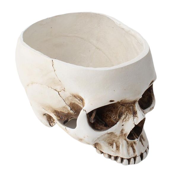 

flower pot succulent plants halloween skull shape steampunk home decor