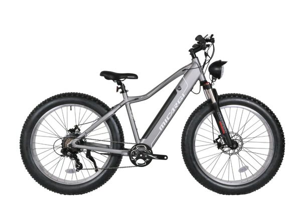 

new electric bicycle 26" fat tires 7 speed mtb 800w adj suspension lithium ion bike, Silver;blue