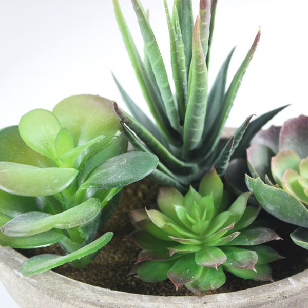 

artificial succulent plants bonsai lotus mini green fake succulents plant home garden decor landscape decorative flower with pot