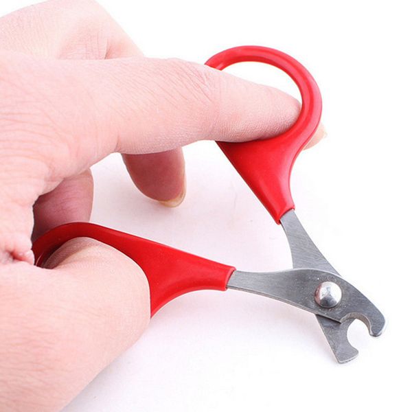 

8cm pet product red small dogs with pet nail scissors cats use nail clippers pet cat tools supplies 6z