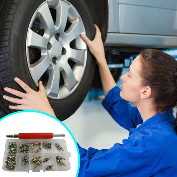

60 pcs a/c valve cores shrader valves with double head installer remover tire repair tool for motorcycle car