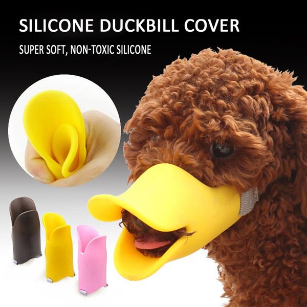 

ани-бепоѬдок ани-бепоѬдок наѬойка ани-ђкђи иликоновђ обакђ ђкон