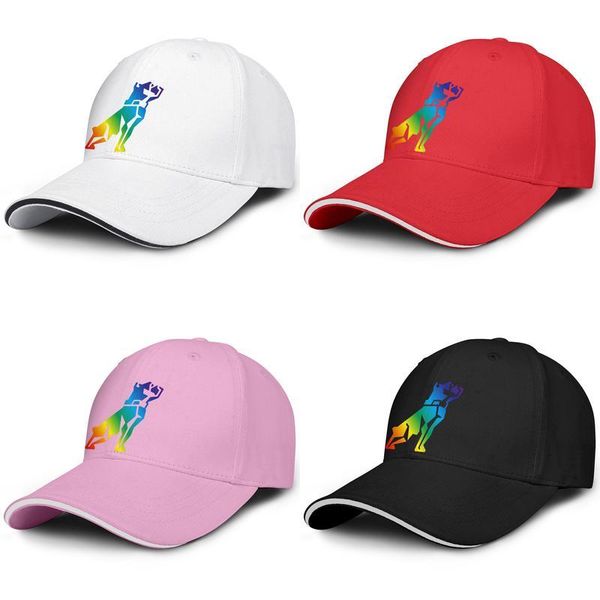

mack trucks dog american gay pride rainbow fashion baseball sandwich hat blank original truck driver cap car logo bulldog sign, Blue;gray