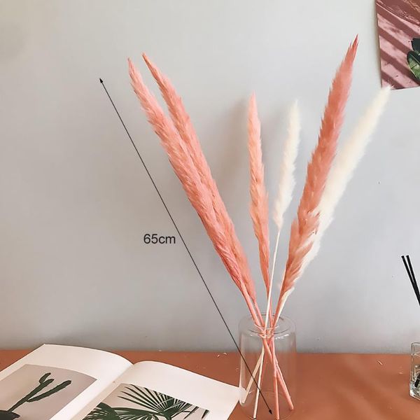 

7pcs dried plants pampas grass natural phragmites communis wedding flower bunch fake flowers for home decoration high quality