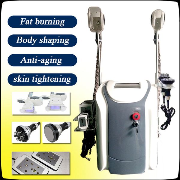

2019 professional cryolipolysis fat ing slimming cryolipolysis lipolaser cryotherapy slimming machine ce