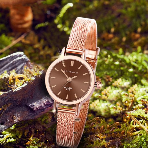 

women's bracelet watches exquisite quartz trend fashion mesh belt metal pointer female clock dames horloges, Slivery;brown